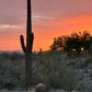 Beaded Sonoran Sunset Earrings // Saguaro