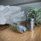 Throat Chakra Essential Oil Roller Bottle Necklace