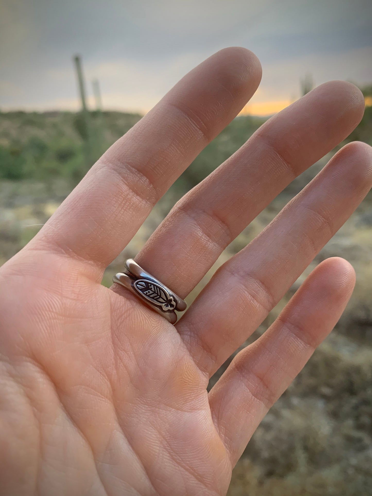 Sierra Nevada Turquoise Stack Stone Ring // Size 8.25