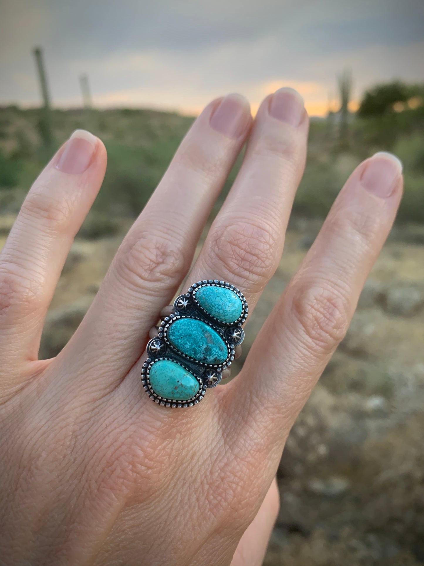 Sierra Nevada Turquoise Stack Stone Ring // Size 8.25