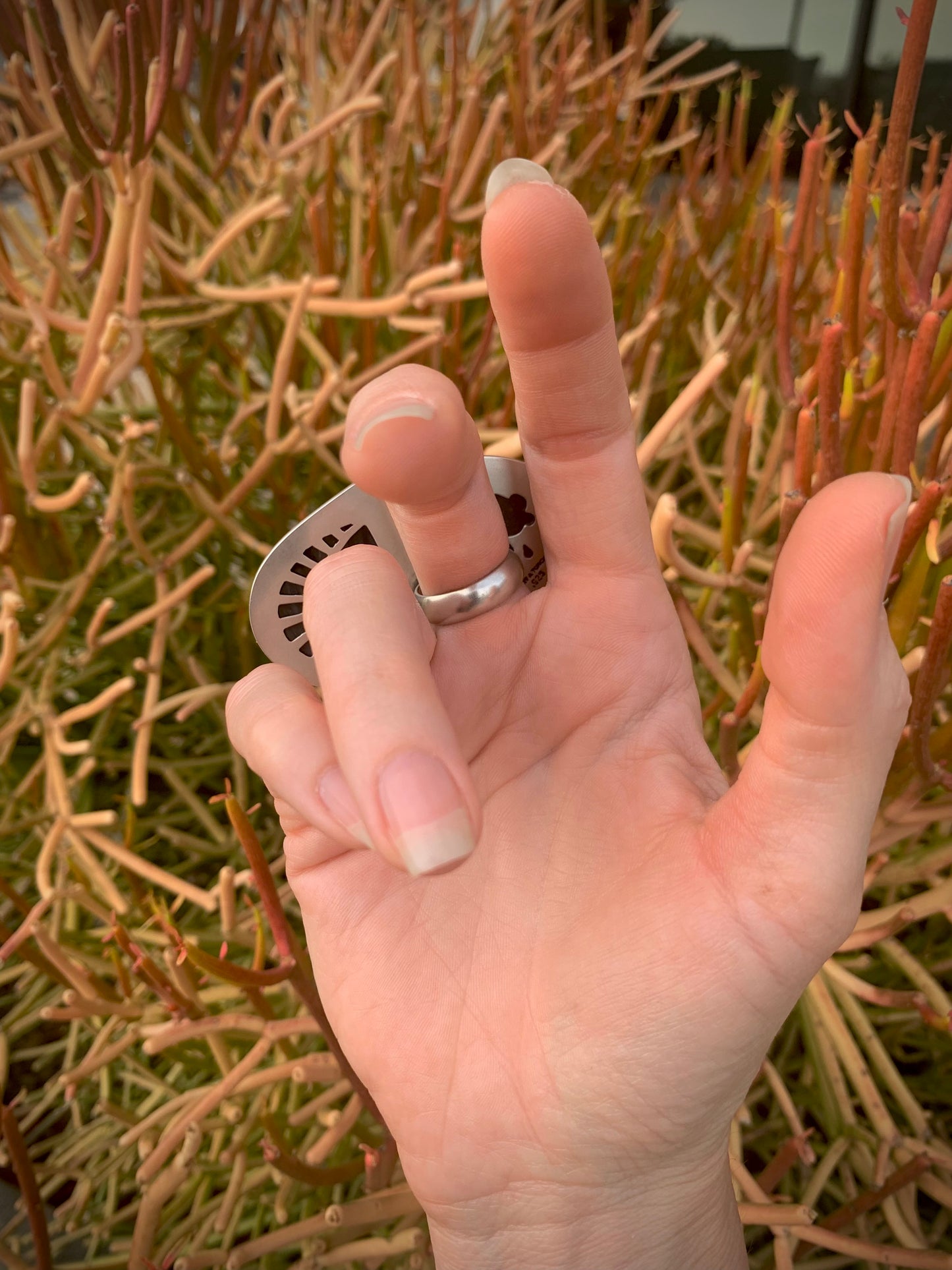 Light in the Darkness Split Shank Ring // Larsonite Jasper & Labradorite // Size 7.5